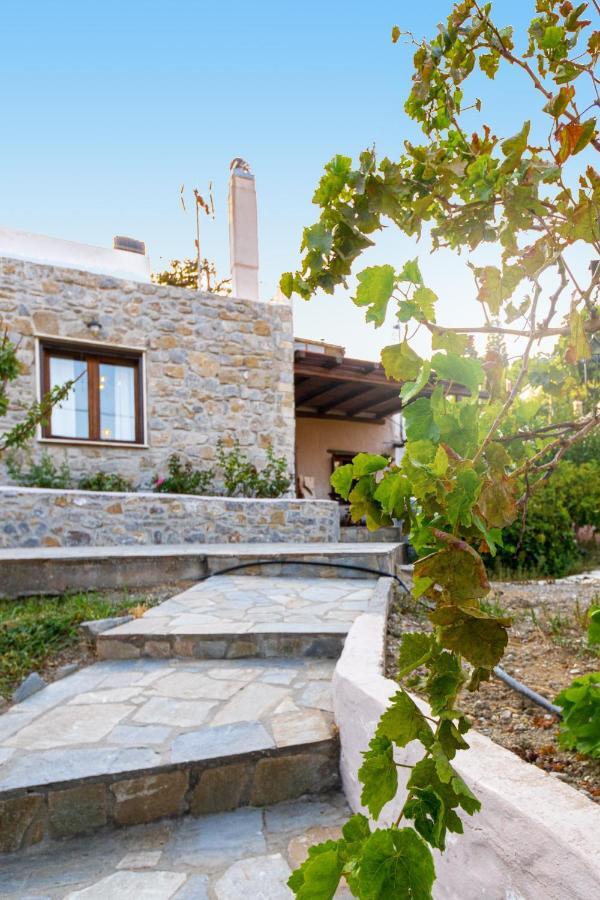 Villa Maria Stavrokhorion Ngoại thất bức ảnh